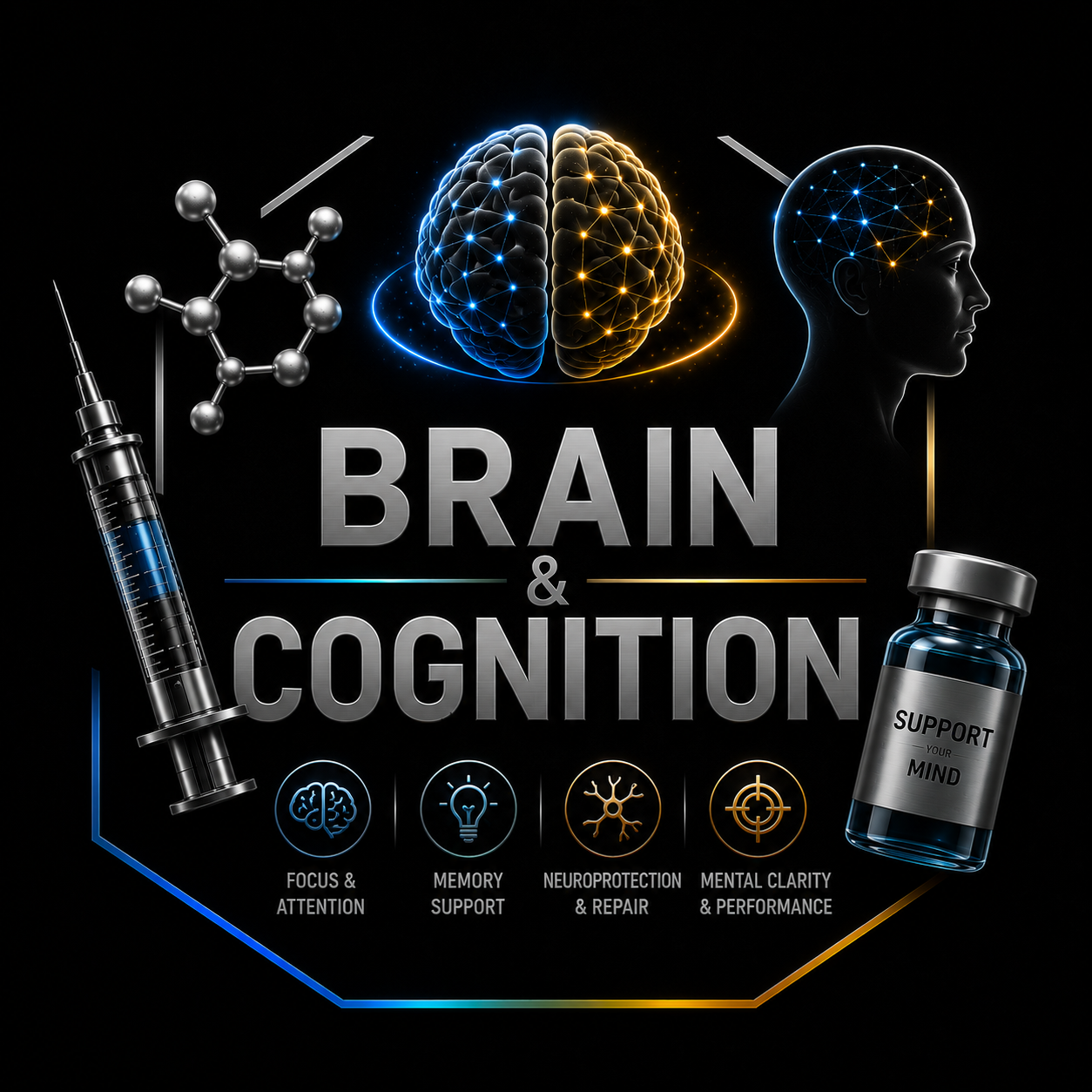 Brain & Cognition
